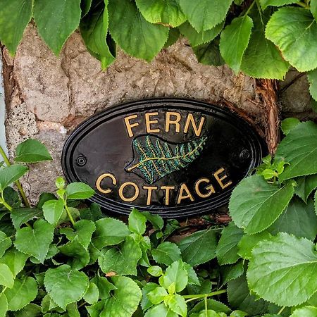 Fern Cottage, Great Strickland ペンリス エクステリア 写真